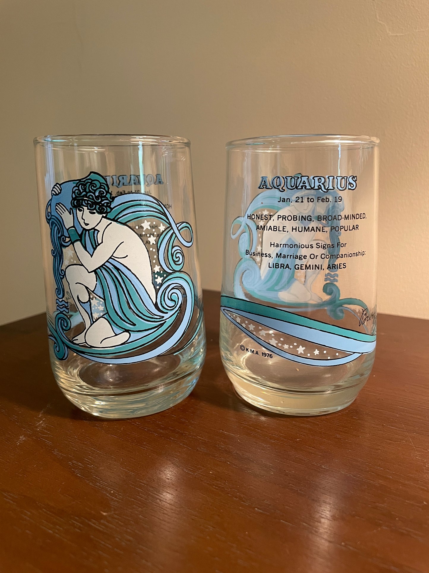 Pair of Aquarius Zodiac Glasses