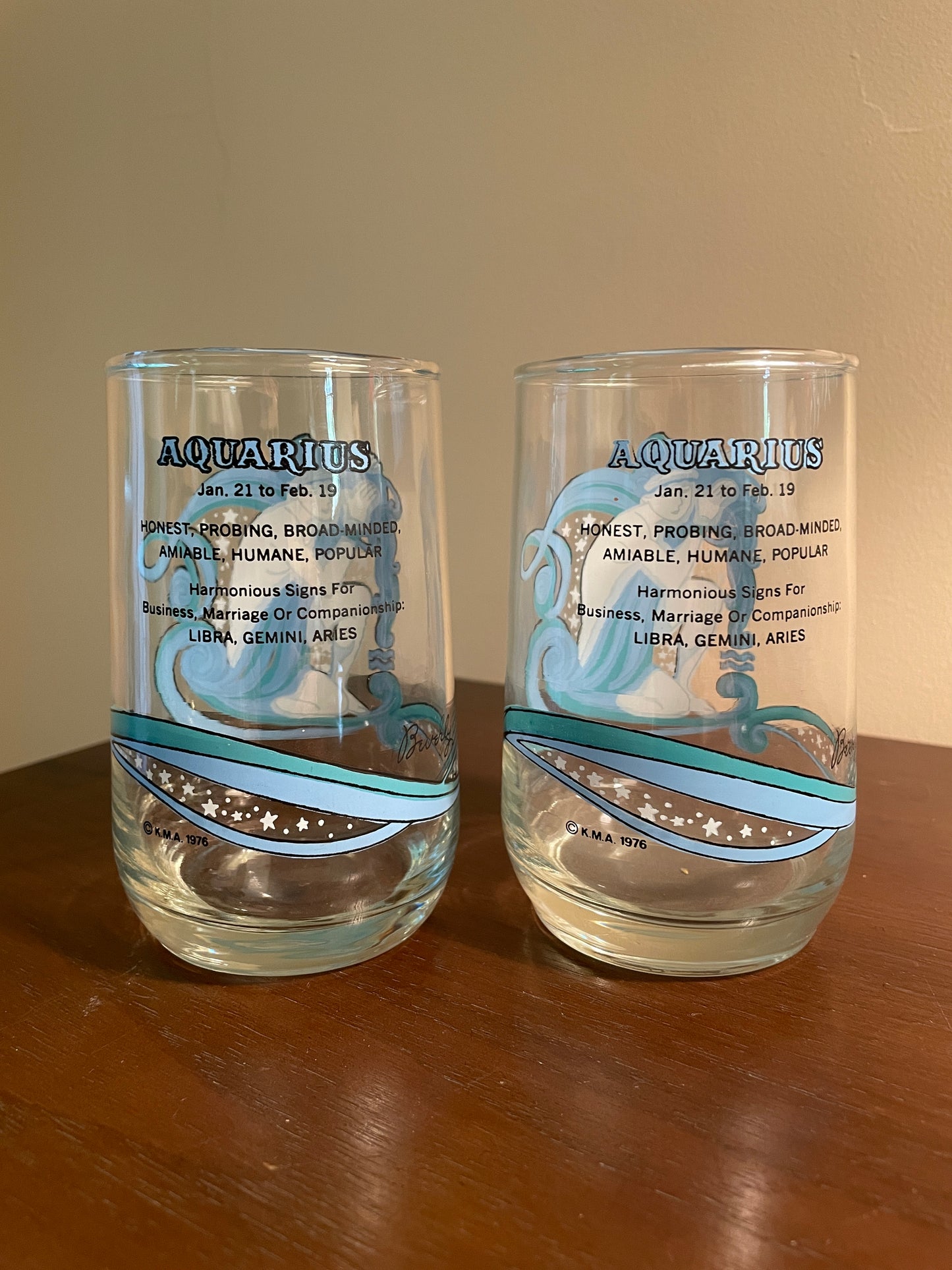 Pair of Aquarius Zodiac Glasses