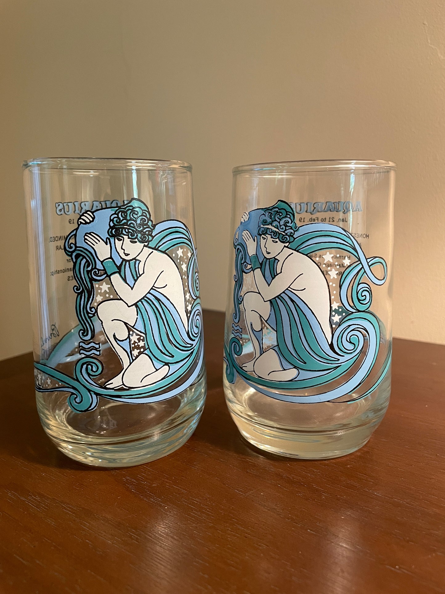 Pair of Aquarius Zodiac Glasses