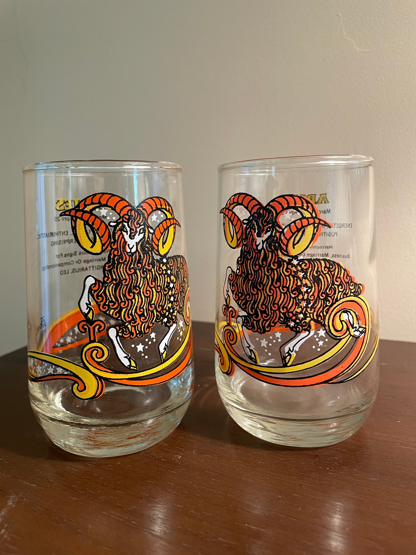 Pair of Aries Zodiac Glasses