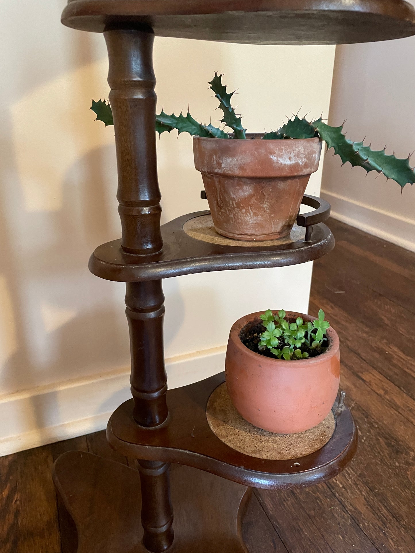 Cork & Wood Plant Stand