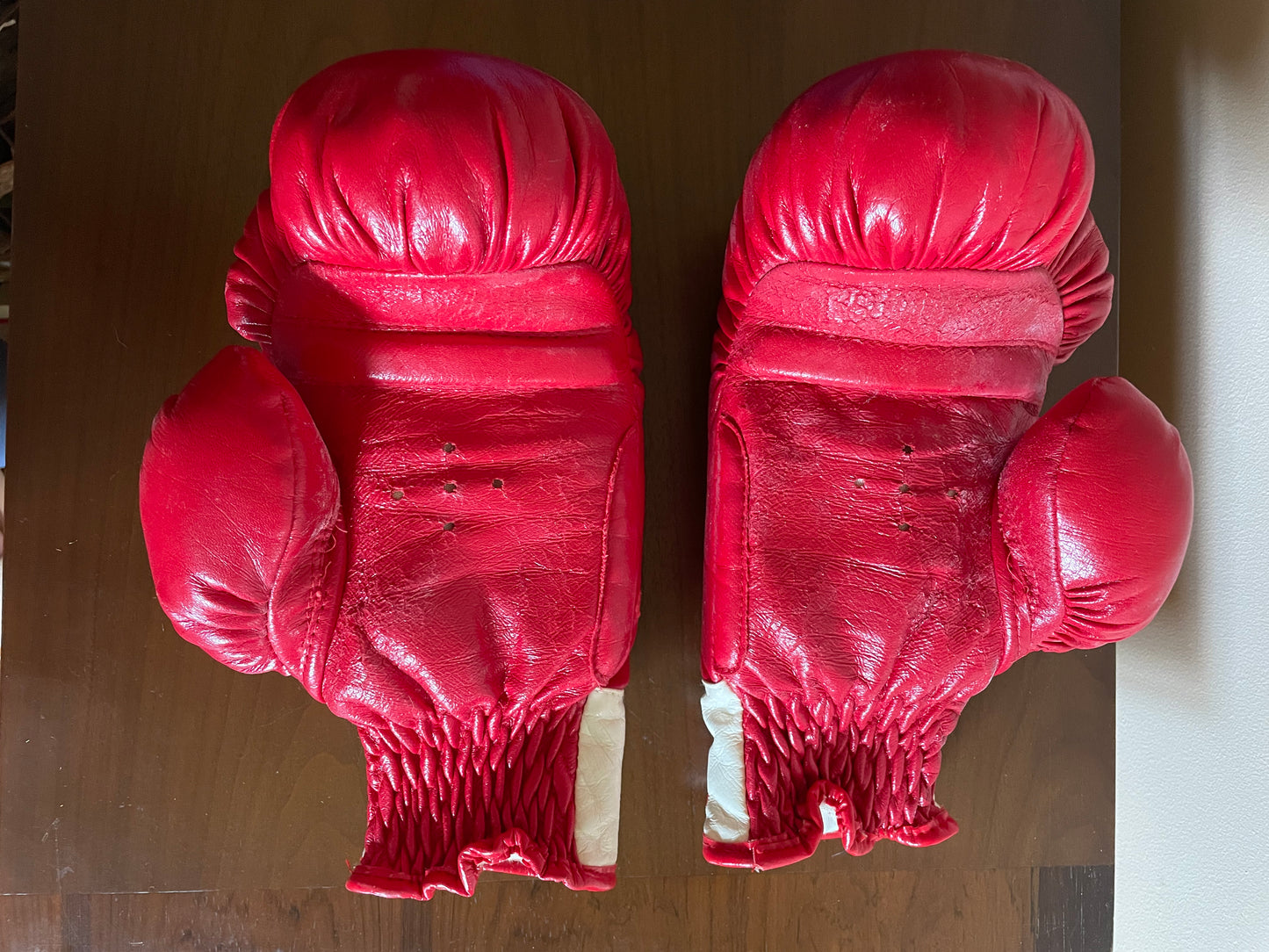 Challenger Boxing Gloves