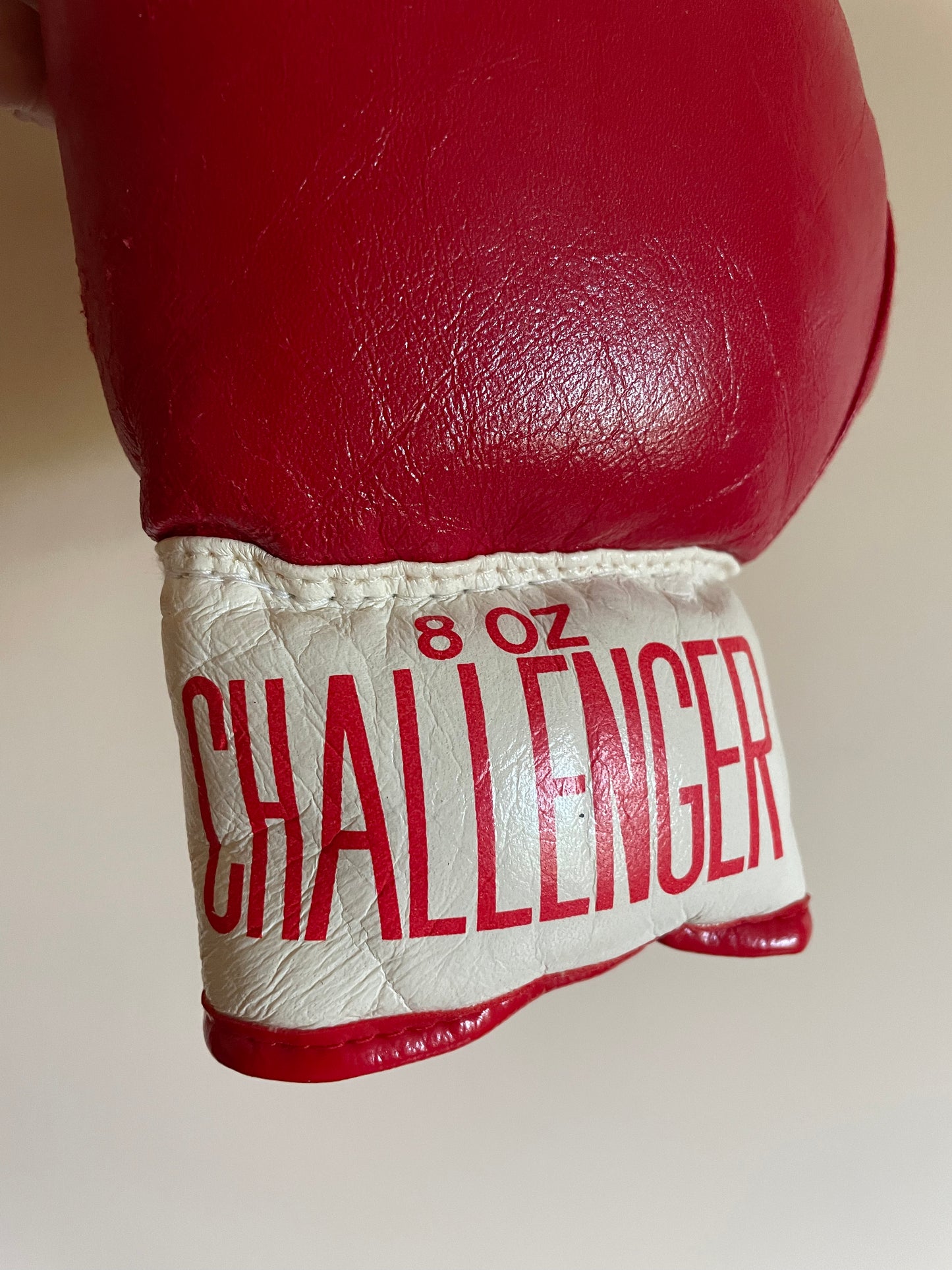 Challenger Boxing Gloves