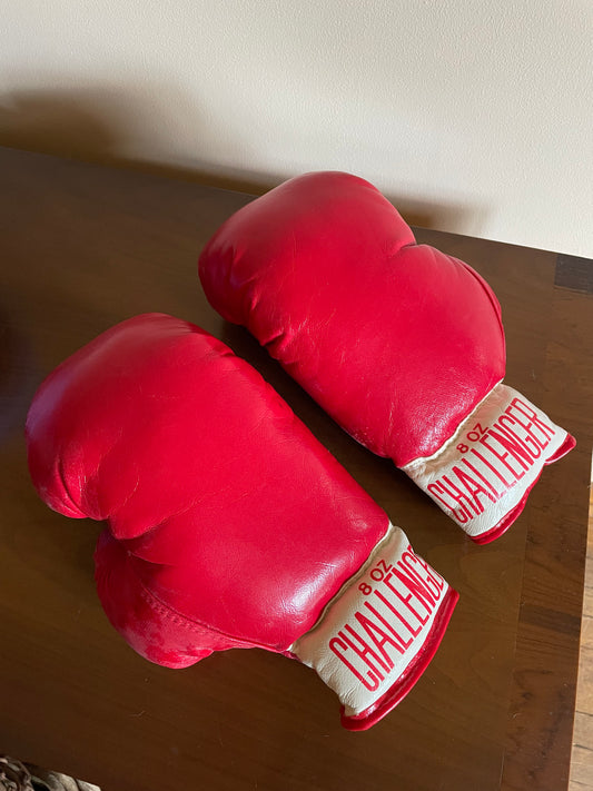 Challenger Boxing Gloves