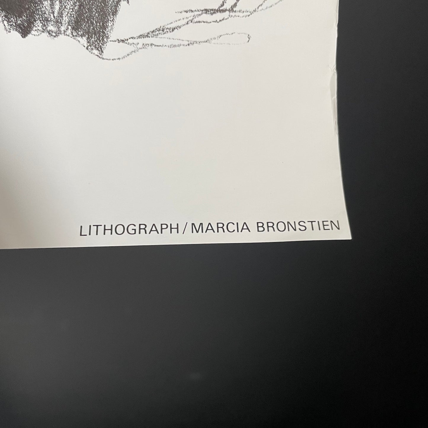 Marcia Bronstien Lithograph