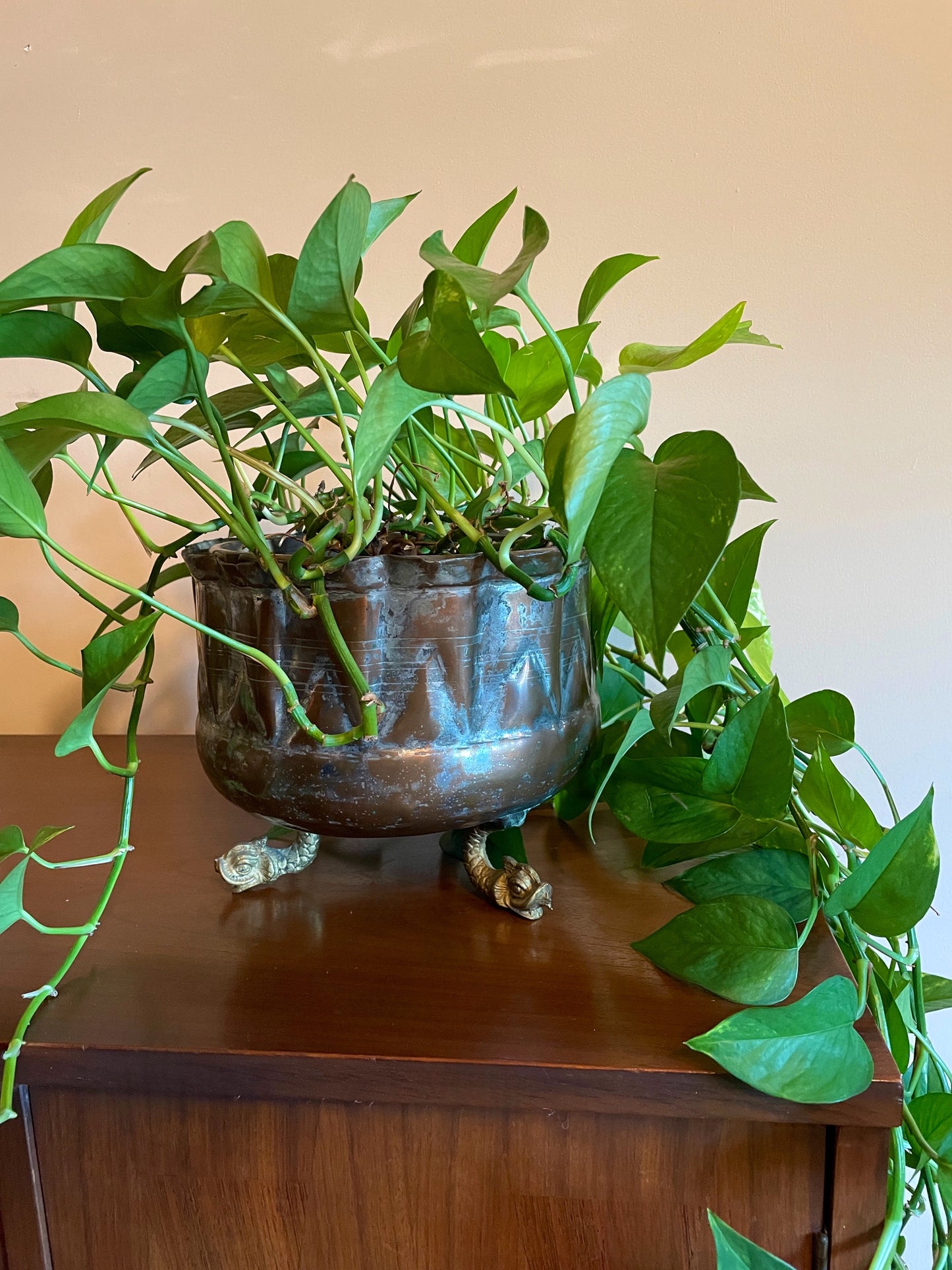 Decorative Copper Planter with Creature Feet